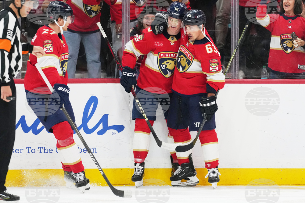 Stars Panthers Hockey