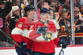 Stars Panthers Hockey