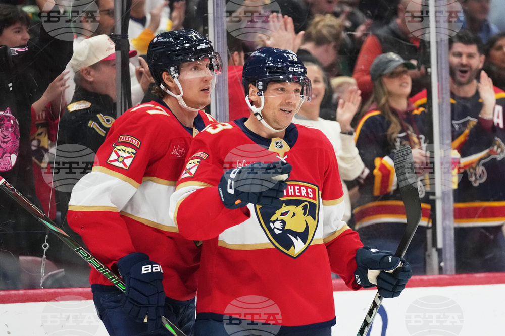 Stars Panthers Hockey