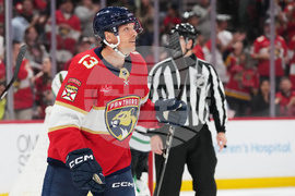 Stars Panthers Hockey