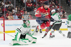 Stars Panthers Hockey