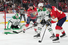 Stars Panthers Hockey