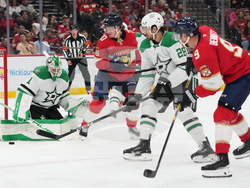 Stars Panthers Hockey