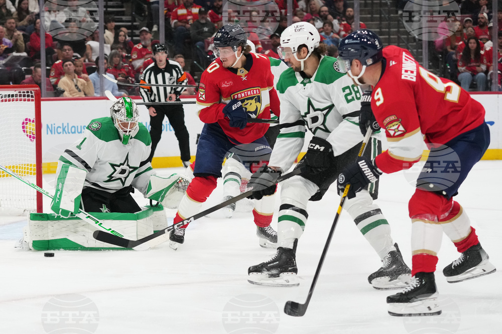 Stars Panthers Hockey