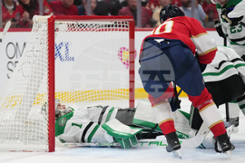 Stars Panthers Hockey