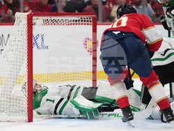 Stars Panthers Hockey