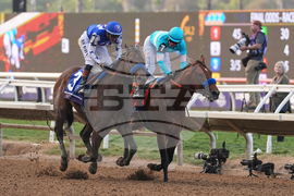 Breeders Cup Dirt Mile Horse Racing