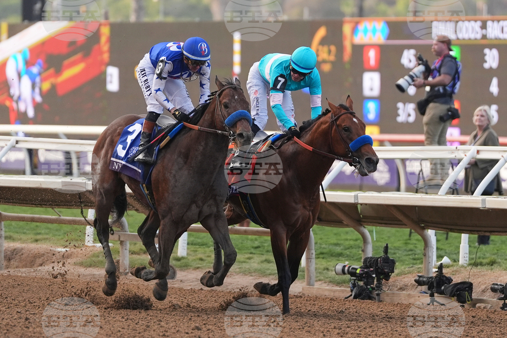 Breeders Cup Dirt Mile Horse Racing