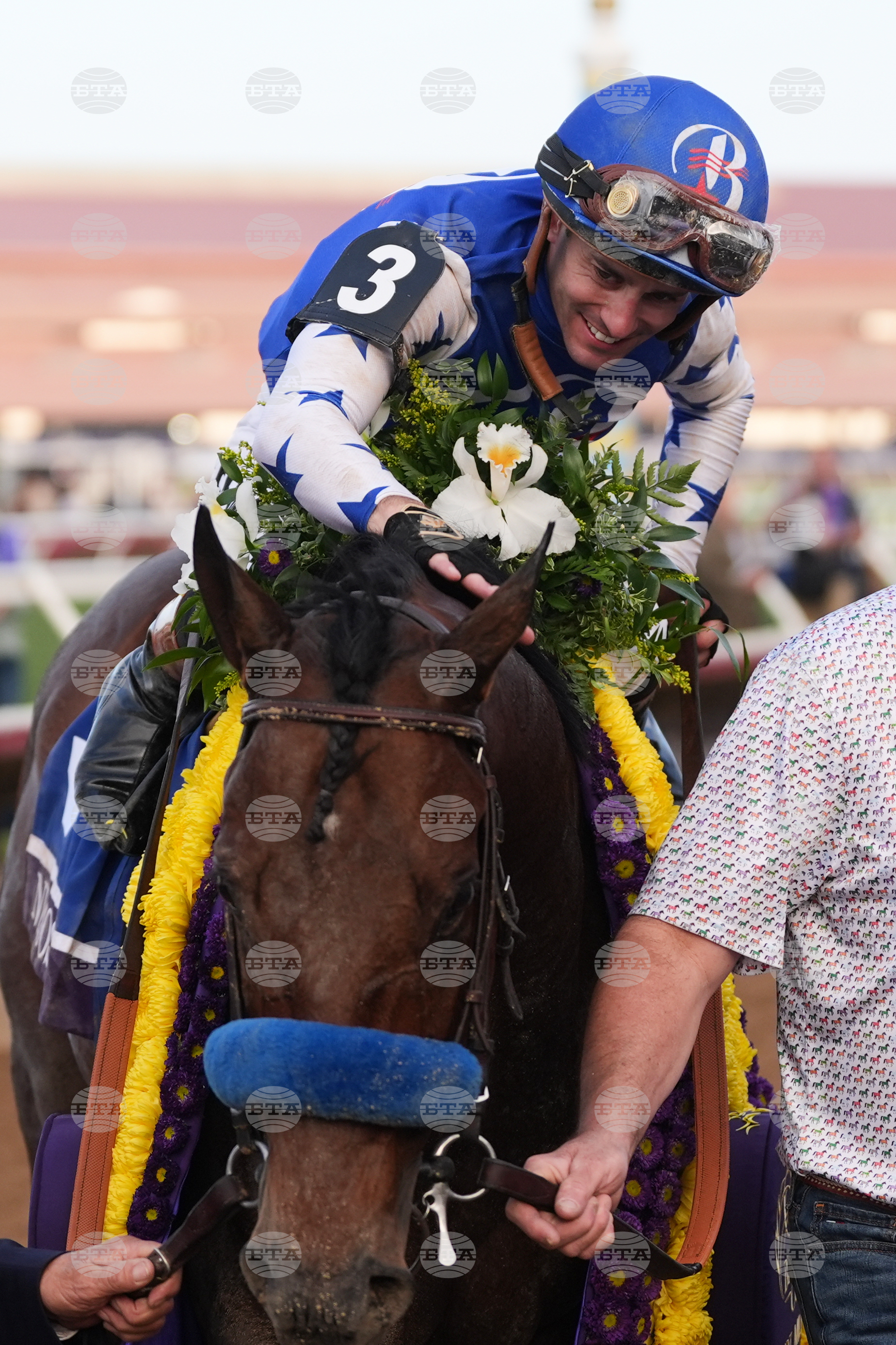 Breeders Cup Dirt Mile Horse Racing