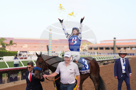 Breeders Cup Dirt Mile Horse Racing