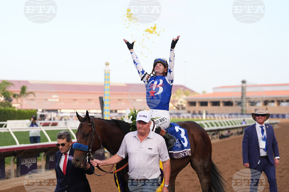 Breeders Cup Dirt Mile Horse Racing