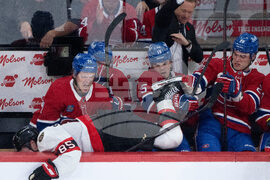 Senators Canadiens Hockey