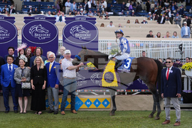 Breeders Cup Dirt Mile Horse Racing