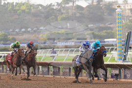 APTOPIX Breeders Cup Dirt Mile Horse Racing