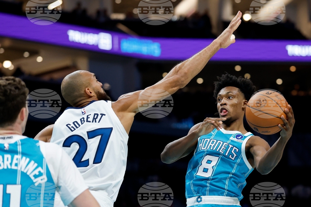 Timberwolves Hornets Basketball