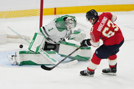 Stars Panthers Hockey