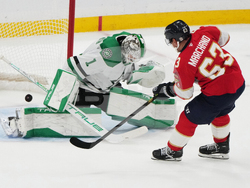 Stars Panthers Hockey