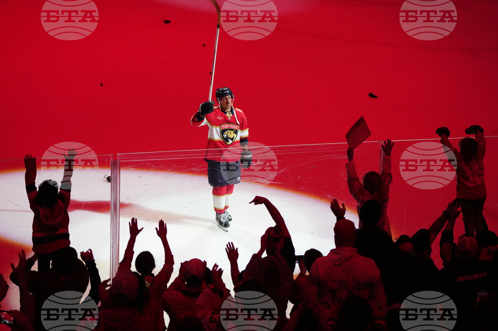 Stars Panthers Hockey