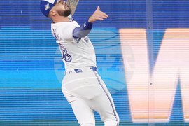 World Series Dodgers Blue Jays Baseball