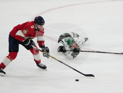 APTOPIX Stars Panthers Hockey