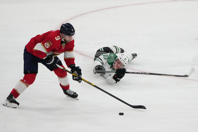 APTOPIX Stars Panthers Hockey