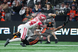 CFL Stampeders Lions Football