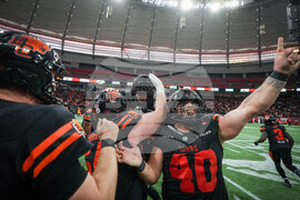 CFL Stampeders Lions Football