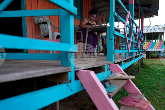 Brazil Marajo Island