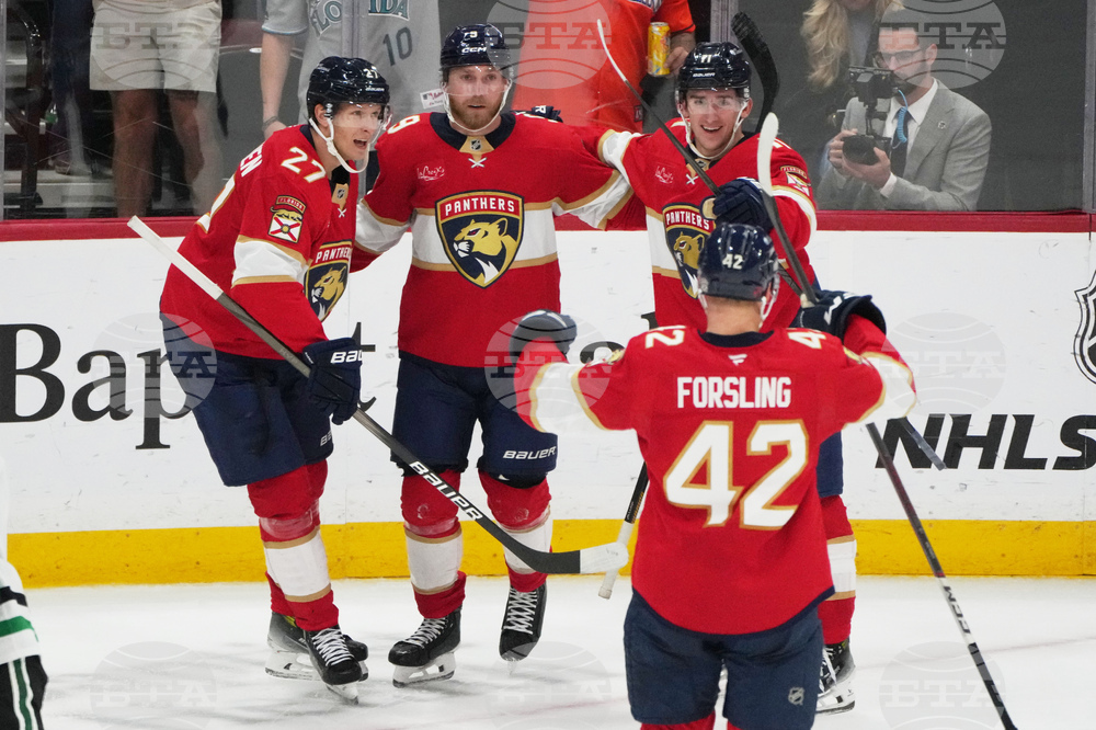 Stars Panthers Hockey