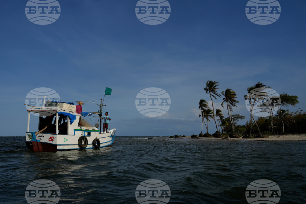 Brazil Marajo Island