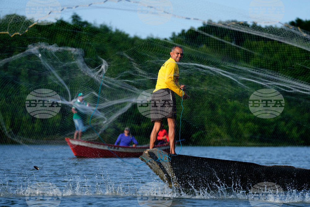 Brazil Marajo Island