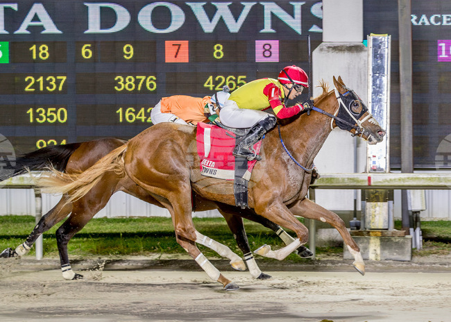 Delta Downs Horse Racing