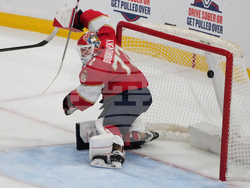 Stars Panthers Hockey