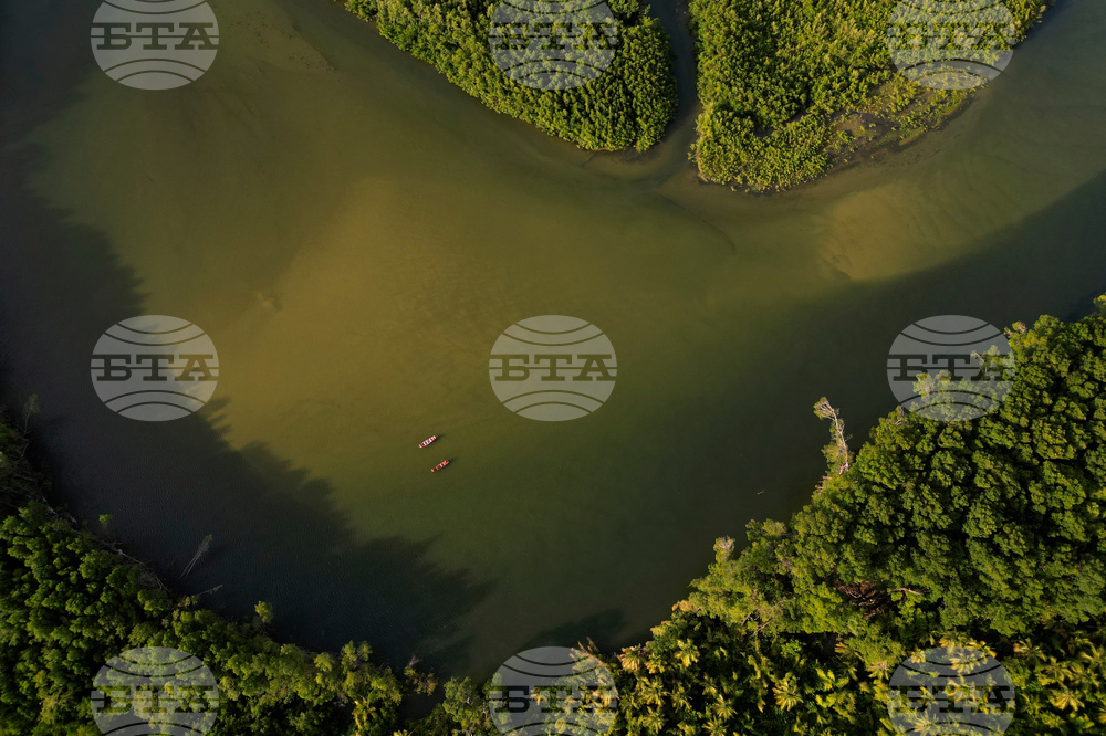 Brazil Marajo Island