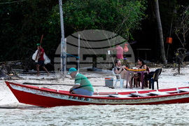 Brazil Marajo Island