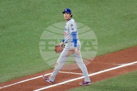 World Series Dodgers Blue Jays Baseball