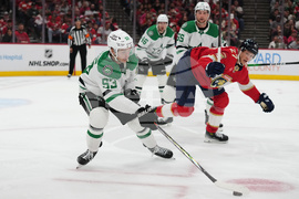 Stars Panthers Hockey