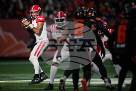 CFL Stampeders Lions Football