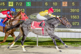 Delta Downs Horse Racing