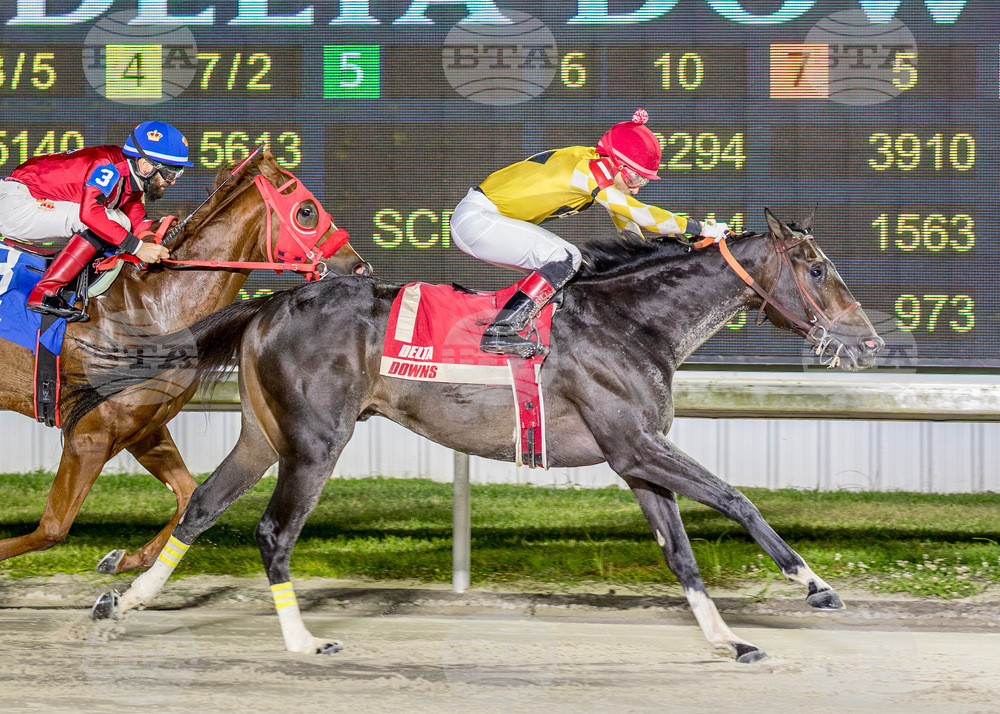 Delta Downs Horse Racing