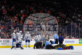 Maple Leafs Flyers Hockey