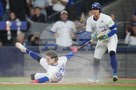World Series Dodgers Blue Jays Baseball