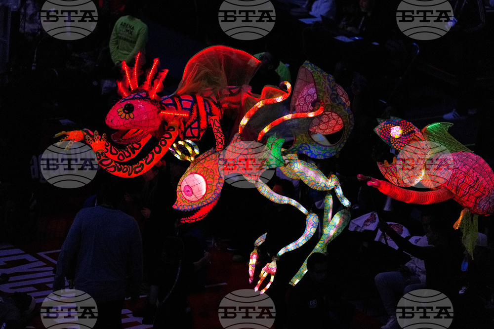 Mexico Mavericks Pistons Basketball