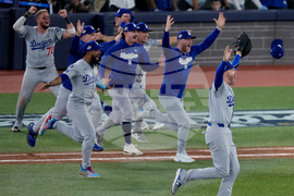 World Series Dodgers Blue Jays Baseball