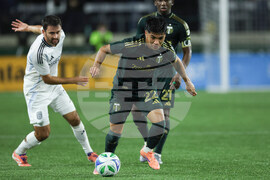 MLS San Diego Portland Soccer