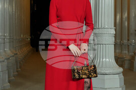 LACMA Art + Film Gala