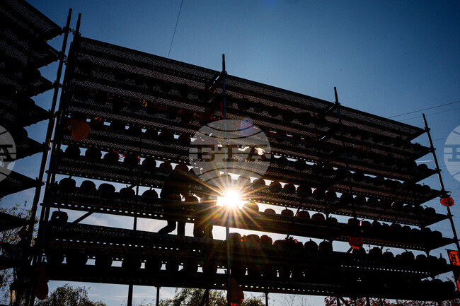 APTOPIX Romania Halloween Pumpkinfest