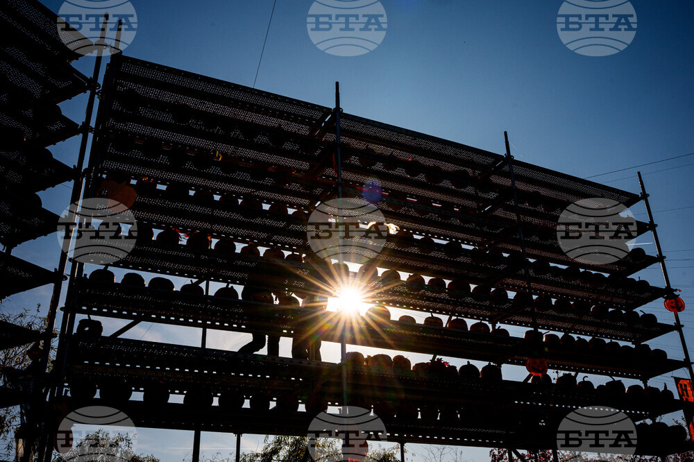 APTOPIX Romania Halloween Pumpkinfest