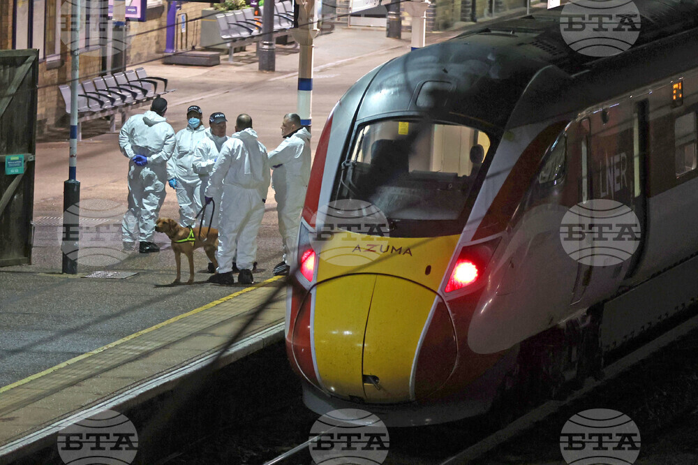 Britain Train Stabbings
