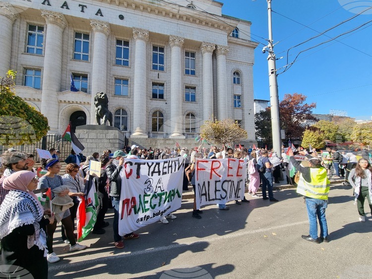 Demonstrators Demand Freedom for Palestine